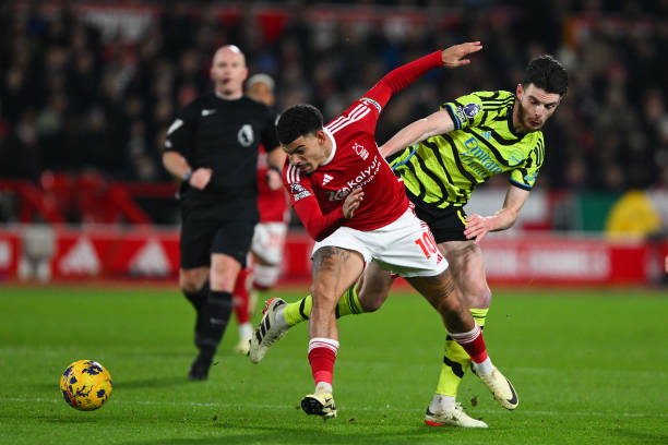 向日葵亲子 向日葵亲子